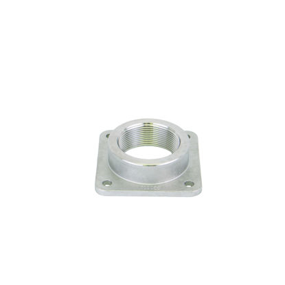 Picture of BANJO 17000 SS FLANGE