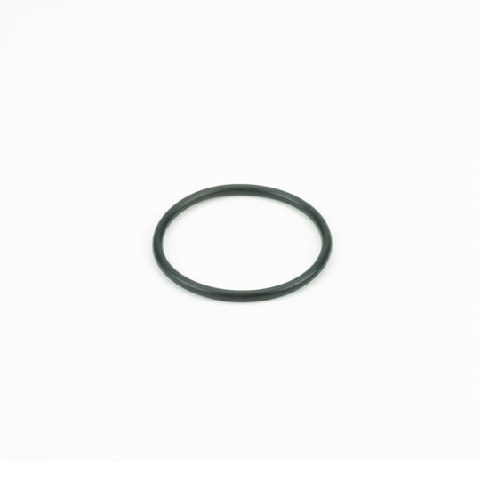Picture of STRAINER BANJO T LST100G POLY GASKET