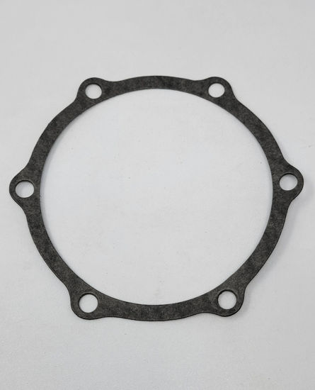 Picture of MP10+15 22240 & BANJO 18021 HOUSING GASKET