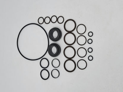 Picture of RAVEN INJECTION PUMP SEAL KIT