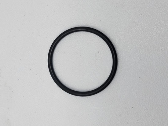 Picture of CORKEN 01-224 O-RING