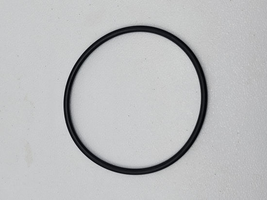 Picture of CORKEN 01-234 O-RING