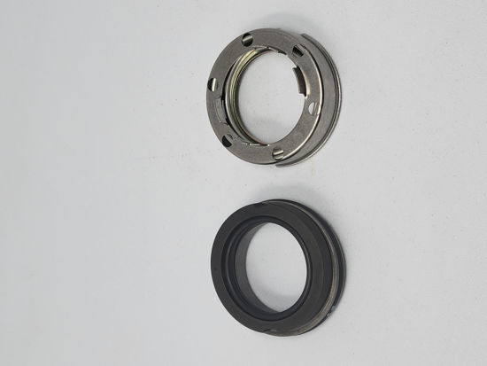Picture of BLACKMER 335225 MECH SEAL