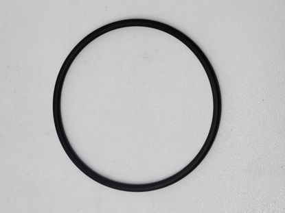 Picture of BLACKMER 702004 BV 200 O-RING