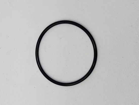 Picture of BLACKMER 701919 O-RING