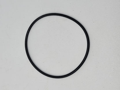 Picture of BLACKMER 702002 O-RING FOR 3" PUMP
