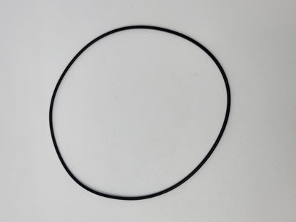 Picture of BLACKMER 702041 HEAD O-RING