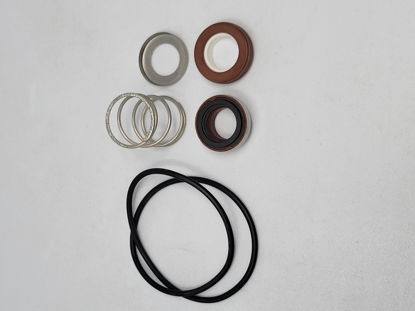Picture of DELEVAN RK-M215VC PUMP SEAL KIT