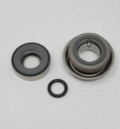 Picture of ACE PUMP BAC-75CE SEAL KIT