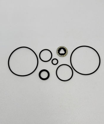 Picture of ACE PUMP RK-BAC-75 HYDRAULIC REPAIR KIT
