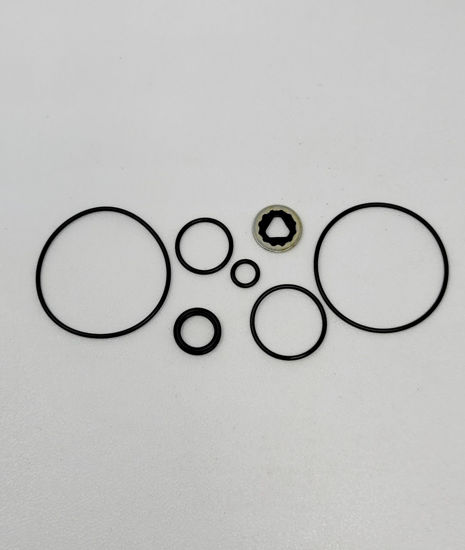 Picture of ACE PUMP RK-BAC-75 HYDRAULIC REPAIR KIT