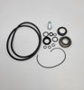 Picture of BANJO 12999A POLY SEAL/O-RING KIT