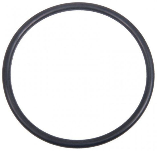 Picture of STRAINER BANJO T LST150-G POLY 1-1/4" & 1-1/2" CAP GASKET