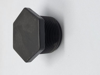 Picture of PLUG POLY 1-1/4"