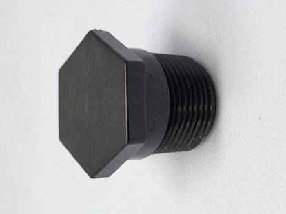 Picture of PLUG POLY 1"