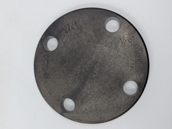 Picture of FLANGE 2" BLIND POLY