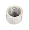 Picture of STRAINER TEEJET CP48655-PP CAP FOR AA-126