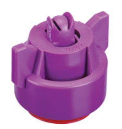 Picture of NOZZLE APTJ-110025VP-CE TEEJET ACCUPULSE TWINJET TIP/CAP COMBO